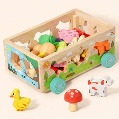 Montessori Carrot Harvest Toy