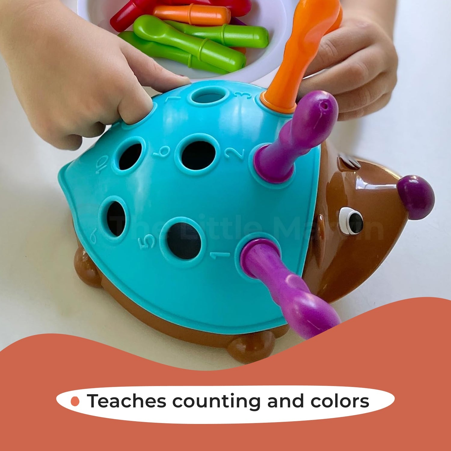 Montessori Hedgehog Learning Toy