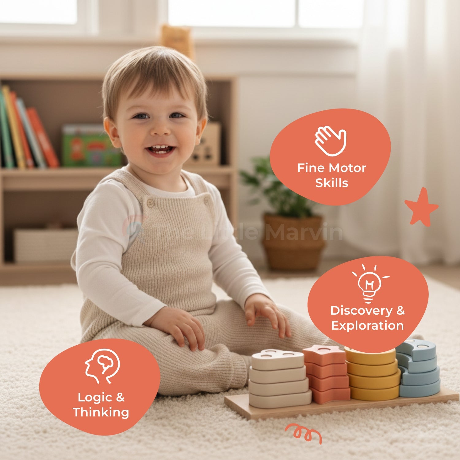 Montessori Shape Sorting Toys