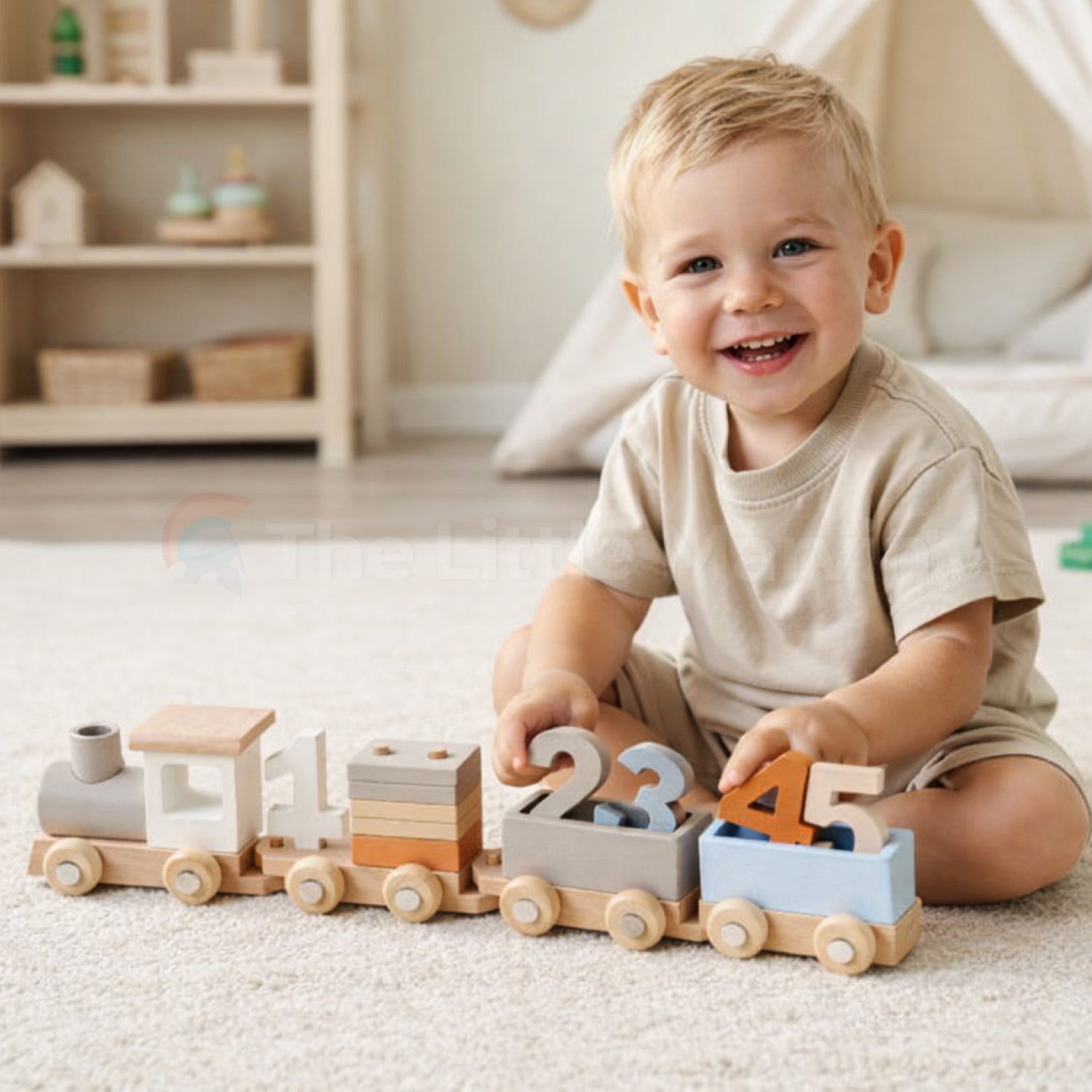 Montessori Wooden Train Set