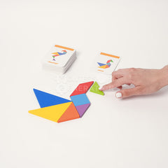Montessori Sorting Puzzle