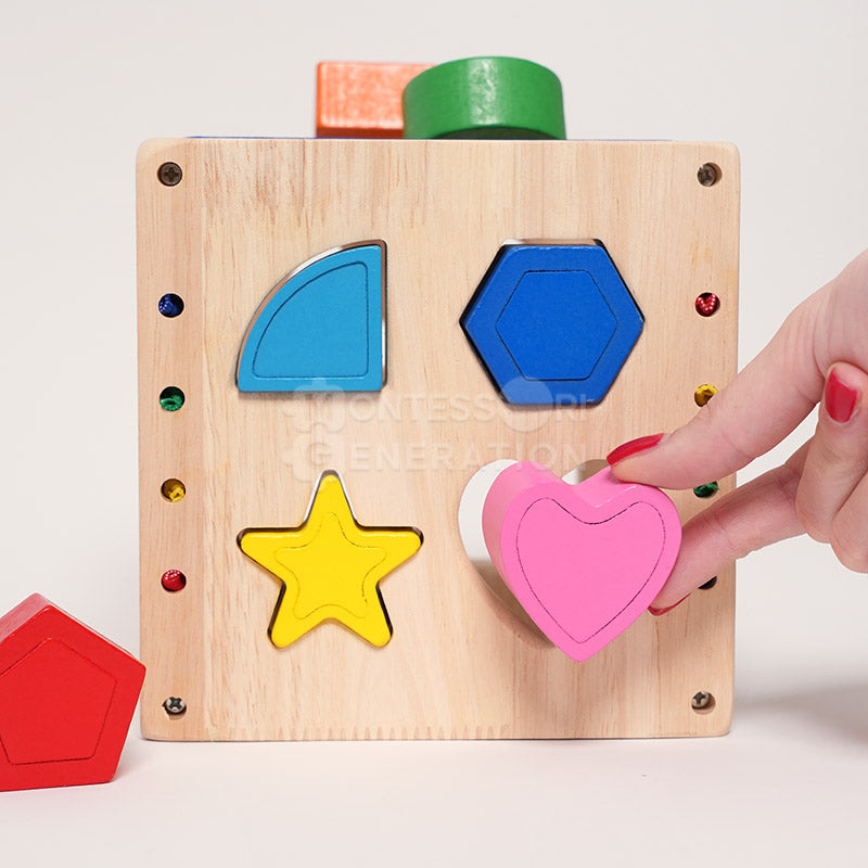 Montessori Wooden Sorting Cube
